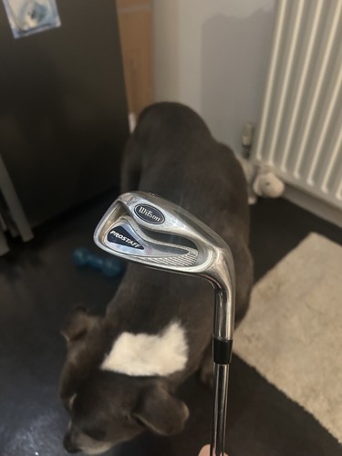 Wilson pro staff irons - staff, irons.